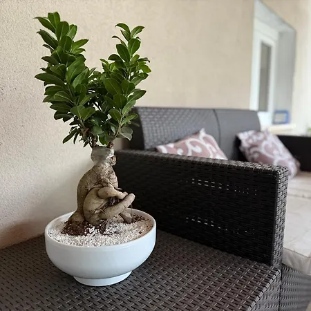 Allaposta La Cantina Apartman Posta Fibreno